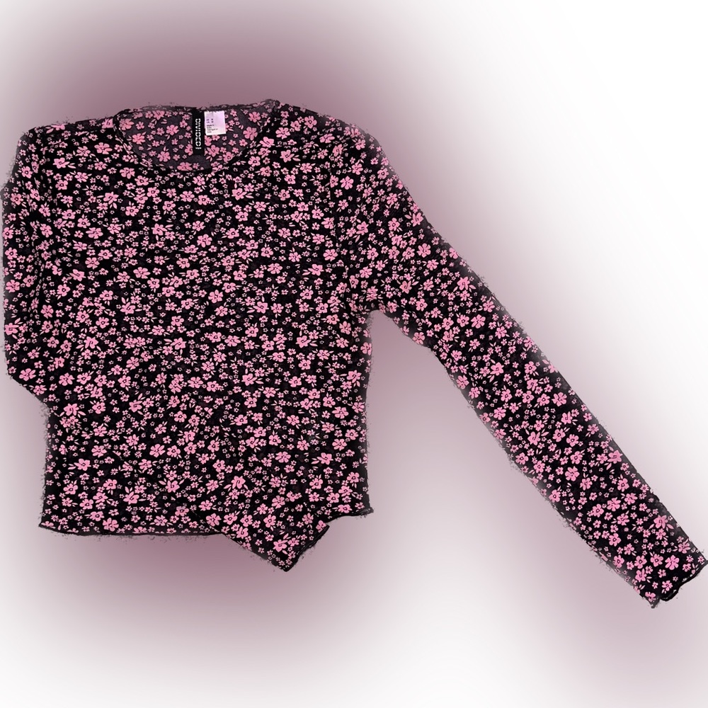 H&M Mesh Long Sleeve Crop Shirt